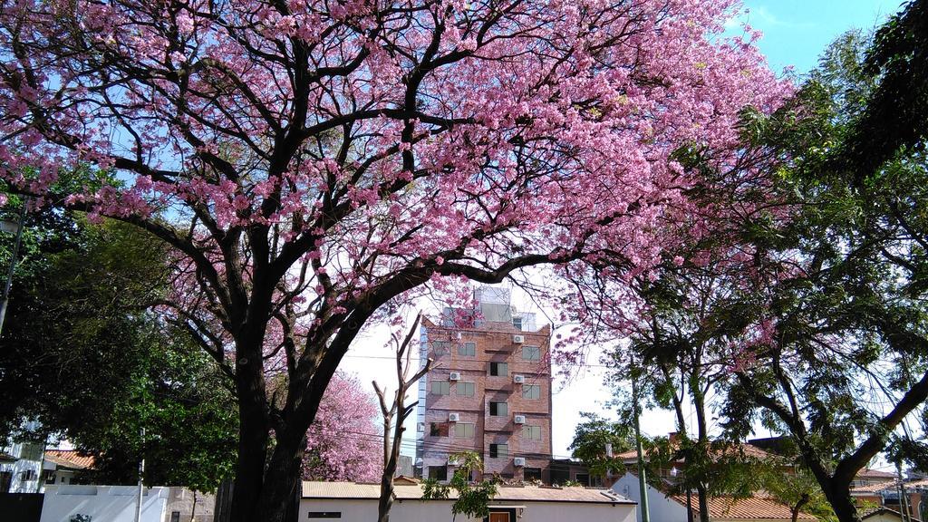 Acosta Nu Apart Hotel Assunção Exterior foto